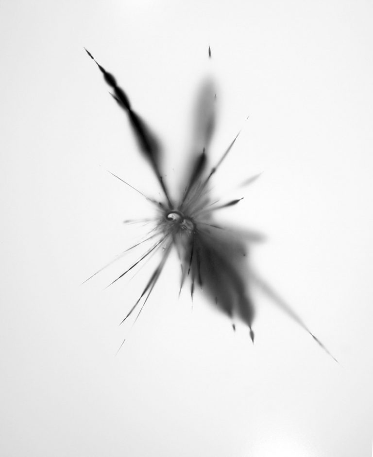 Friedrich Gobbesso WONDERFUL DISASTERS | Explosion Nr. 2 | 2013 | Fotogramm auf Barytpapier auf Aludibond | 87 cm x 70 cm | Galerie Moench Berlin