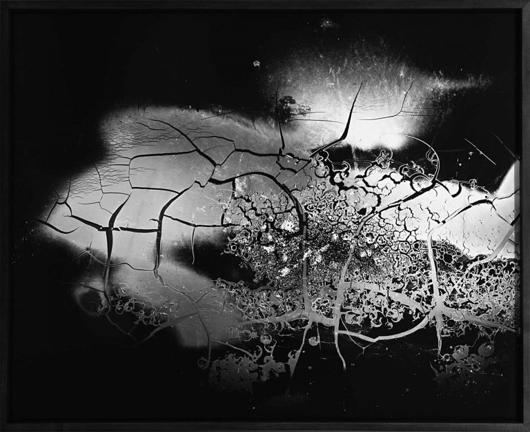 Friedrich Gobbesso | FANTASTICPLASTIC Nr. 24 | 2014 | Experimentelles Fotogramm | verbranntes Plastik auf Barytpapier, auf Aludibond | 102 x 127 cm | Galerie Moench Berlin