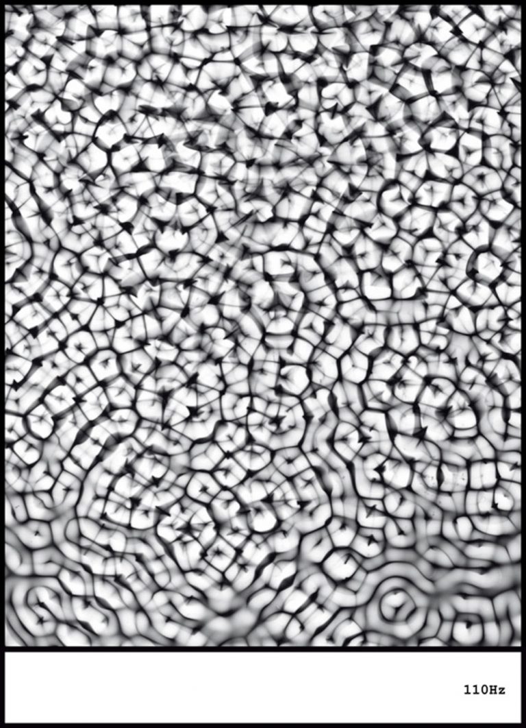 Friedrich Gobbesso | KAUSTIK 110 Hz | Detail | 2014 | Fotogramm auf Barytpapier, auf Aludibond | Galerie Moench Berlin