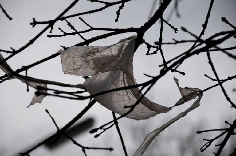galerie moench zeitgenoessische Kunst Betina Kuntzsch video film