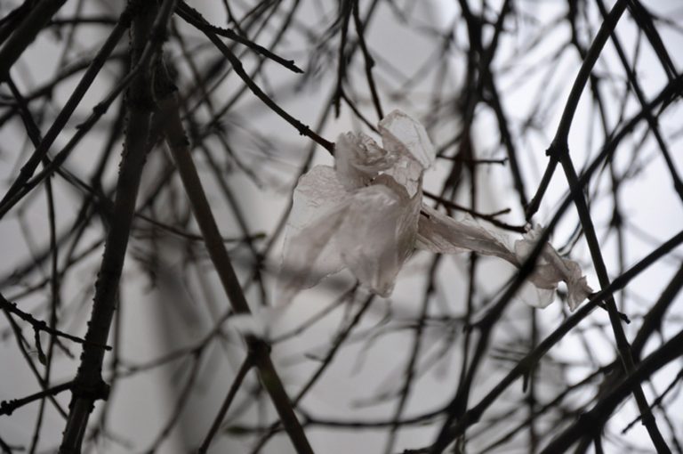 galerie moench zeitgenoessische Kunst Betina Kuntzsch video film