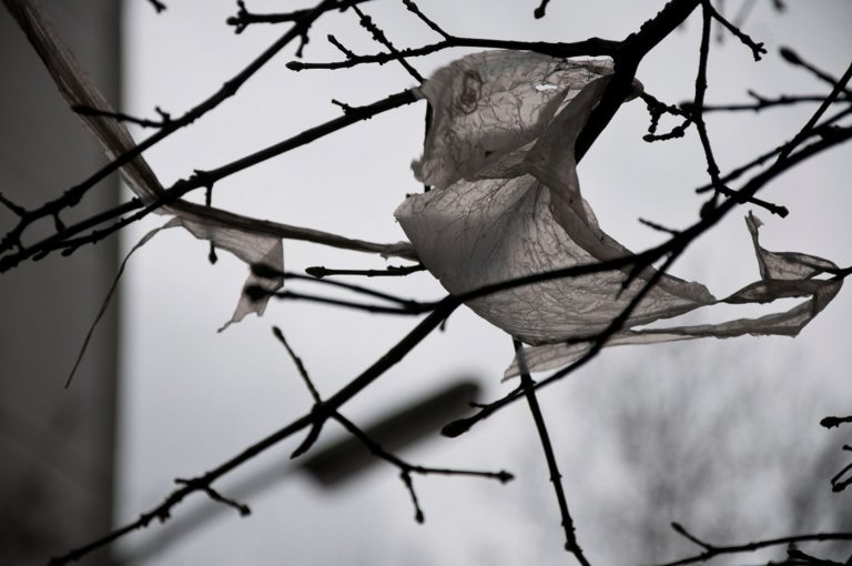 galerie moench zeitgenoessische Kunst Betina Kuntzsch video film