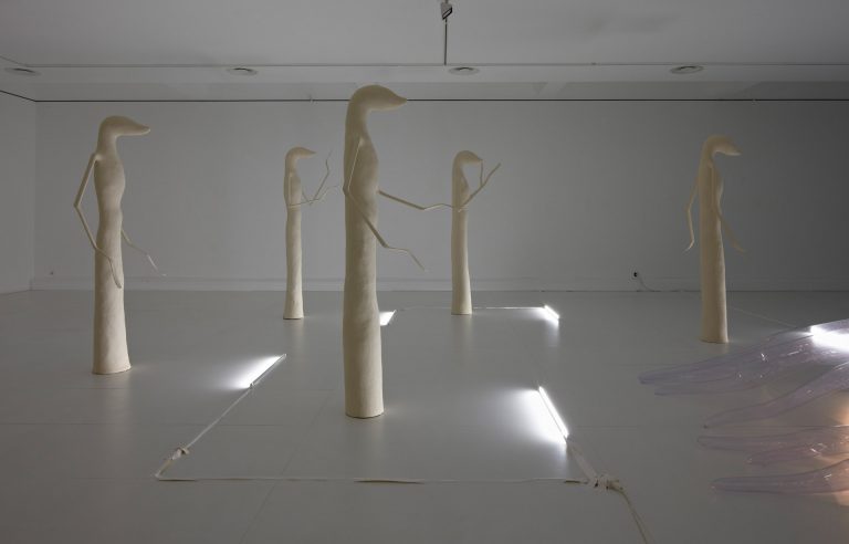 Victorine Mueller | PRESSENTIMENT | Kunstraum Englaenderbau, Vaduz | 2010 | Foto: David Aebi | Galerie Moench Berlin