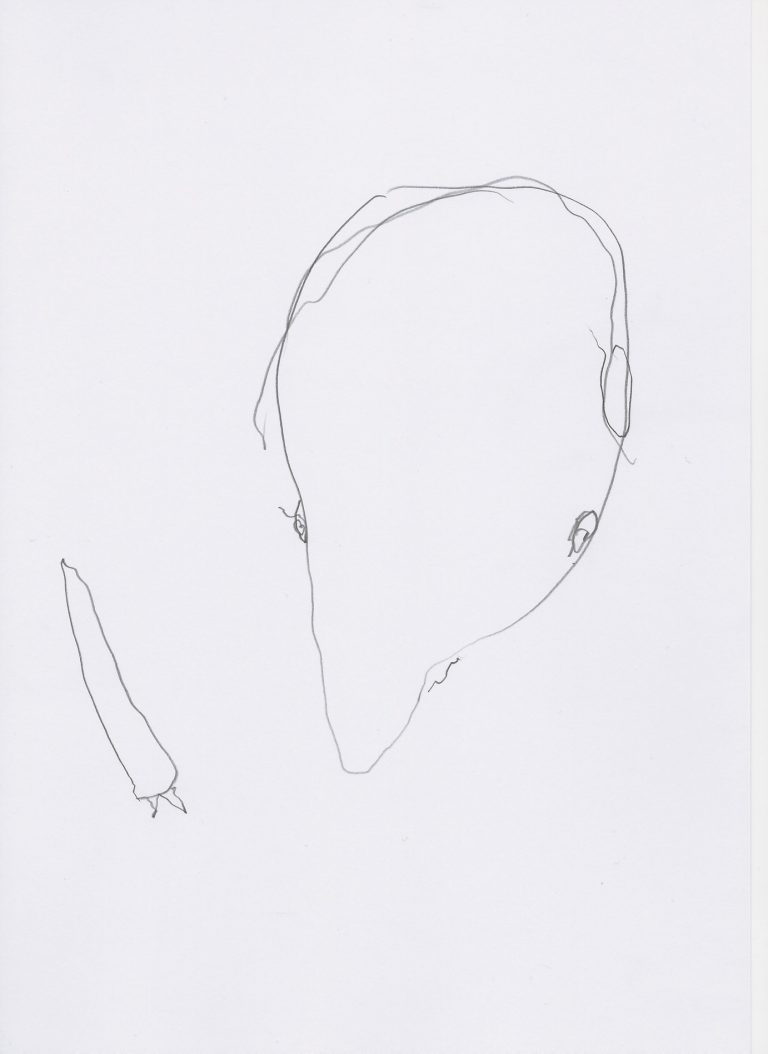 Thomas Muellenbach | MOHRRUEBE | aus der Serie Linientreu | 2013 | Graphit auf Papier | 29,7 x 21 cm | Galerie Moench Berlin