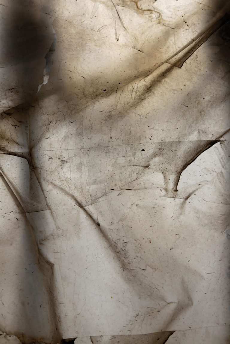 galerie moench zeitgenoessische Kunst Ulrike Lauber Fotografie