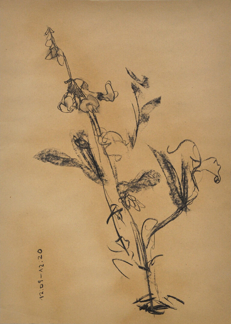 galerie moench zeitgenoessische kunst mary grunwald zeichnung