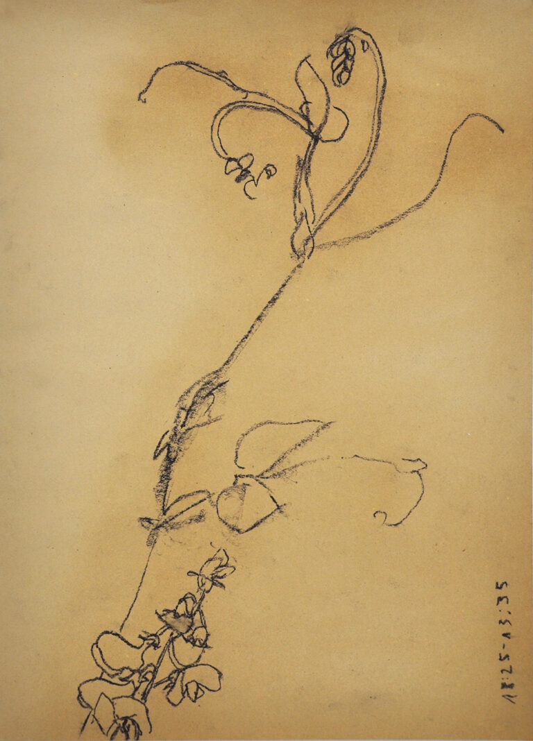 galerie moench zeitgenoessische kunst mary grunwald zeichnung