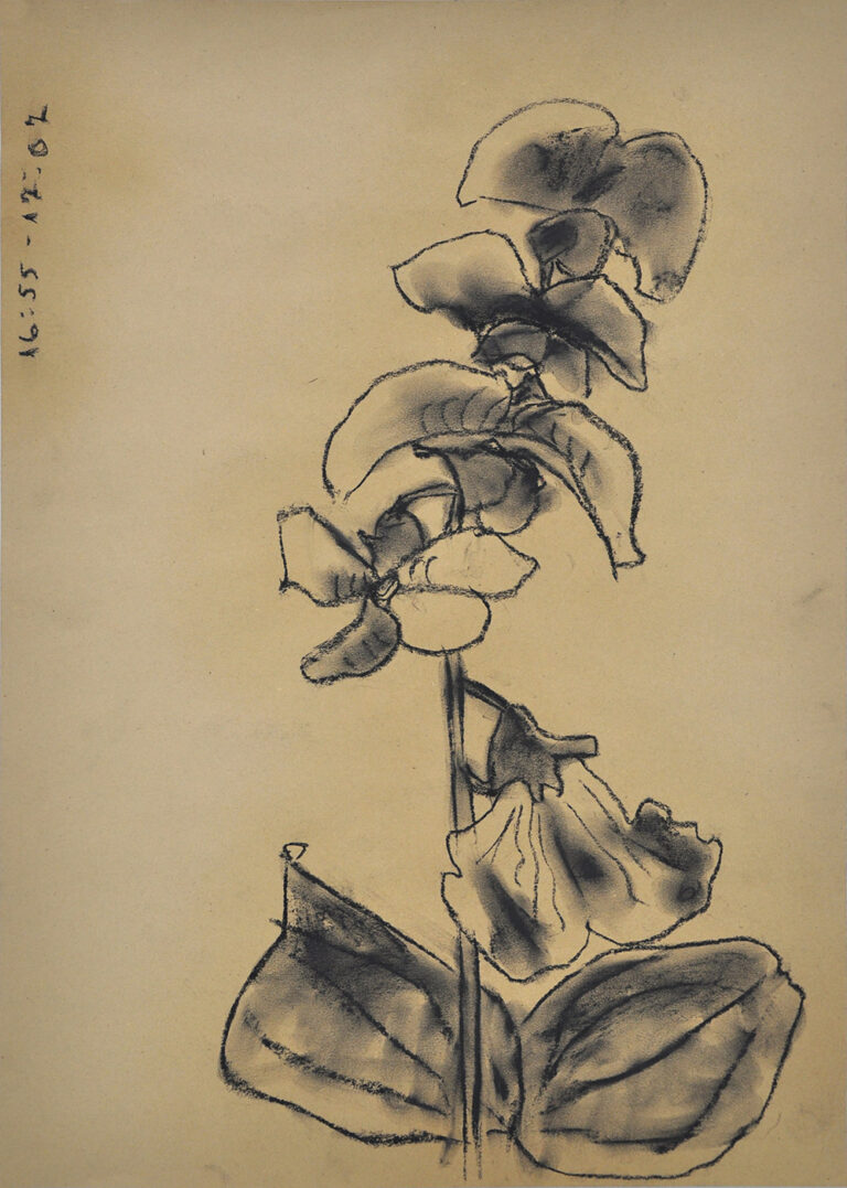 galerie moench zeitgenoessische kunst mary grunwald zeichnung