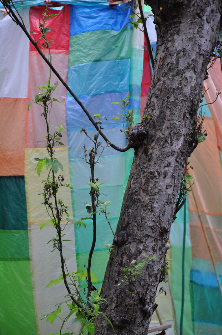 galerie moench zeitgenoessische kunst annette polzer fotografie