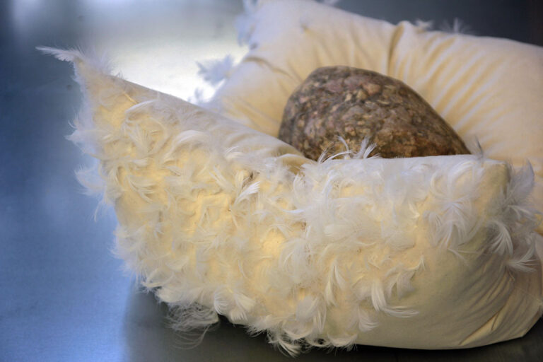 galerie moench zeitgenoessische kunst barbara caveng objekt skulptur koerper