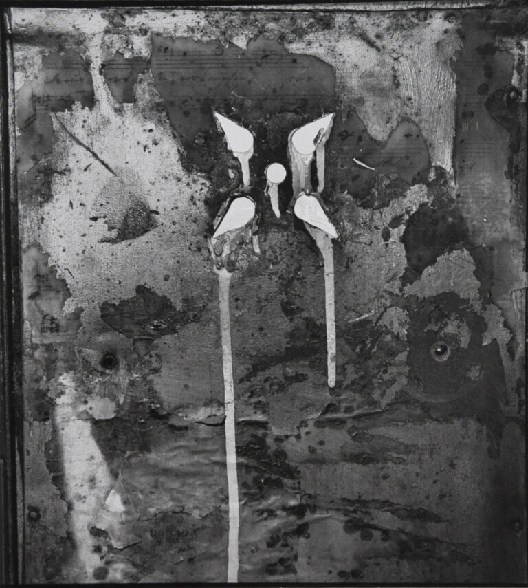 galerie moench zeitgenoessische kunst rainer maria schopp fotografie