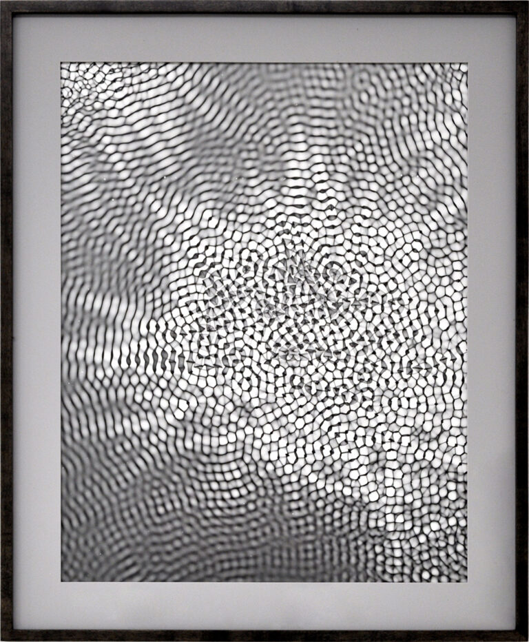 galerie moench zeitgenoessische kunst friedrich gobbesso fotografie