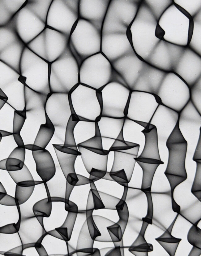 galerie moench zeitgenoessische kunst friedrich gobbesso fotografie