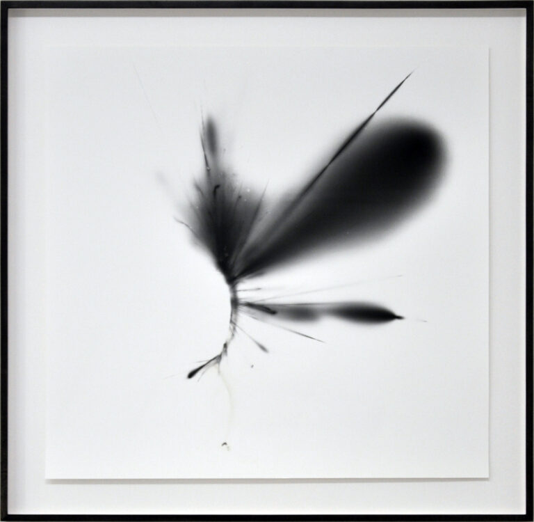 galerie moench zeitgenoessische kunst friedrich gobbesso fotografie