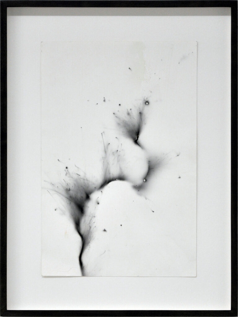 galerie moench zeitgenoessische kunst friedrich gobbesso fotografie