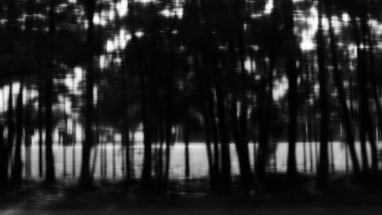 galerie moench zeitgenoessische kunst betina kuntzsch video-zeichnung