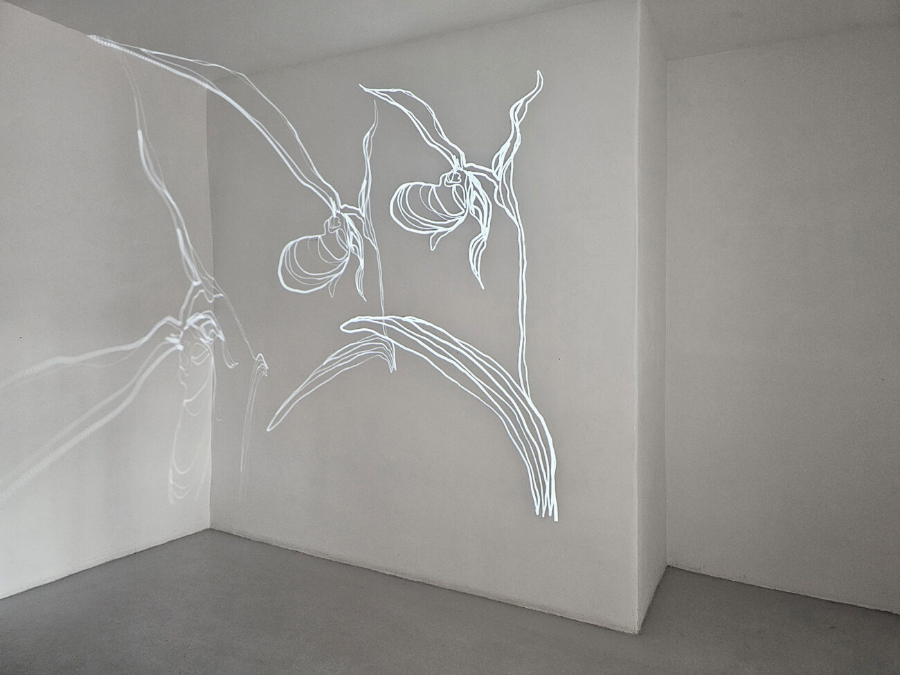 galerie moench zeitgenoessische Kunst Betina Kuntzsch video film