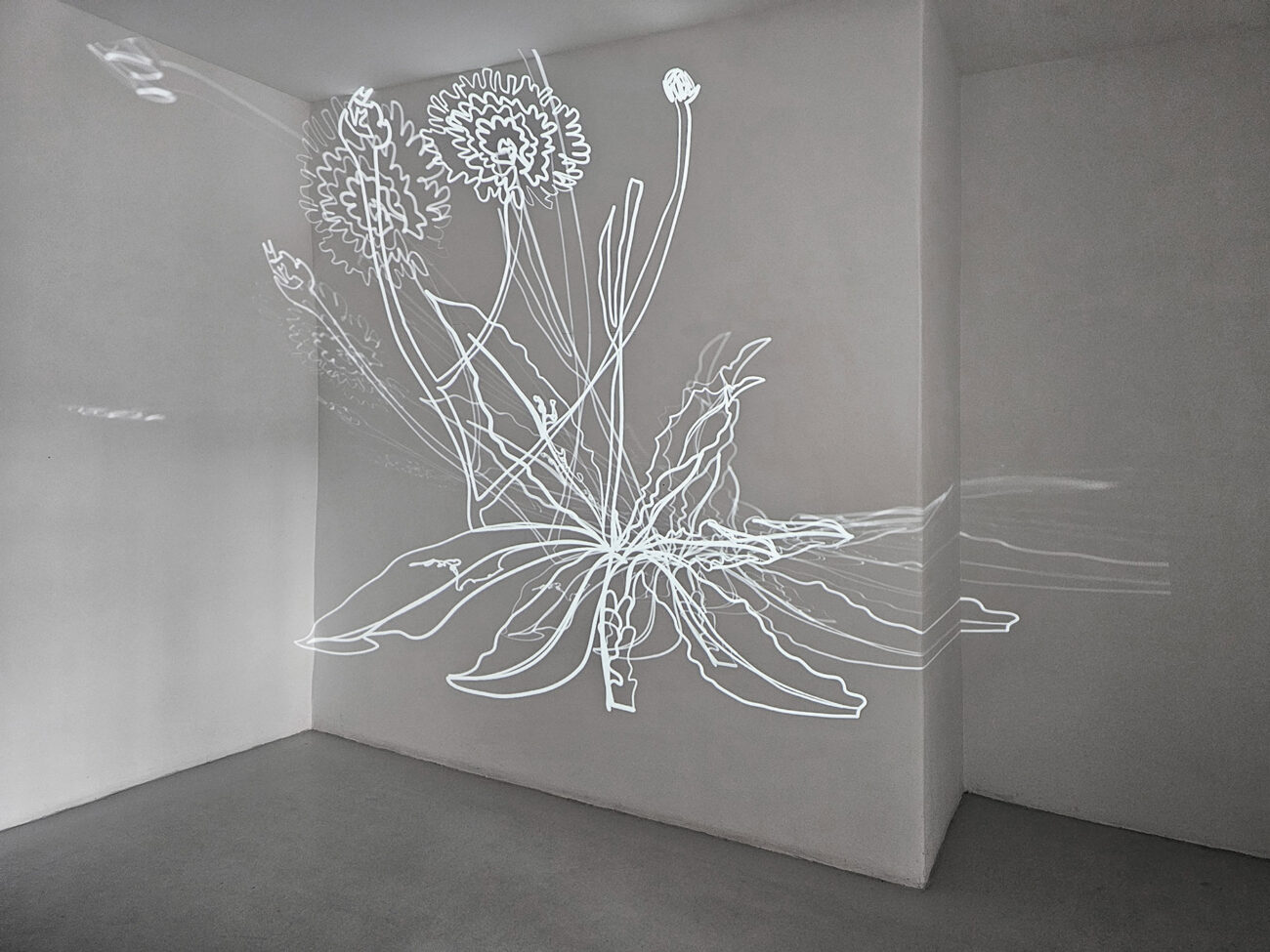 galerie moench zeitgenoessische Kunst Betina Kuntzsch video film