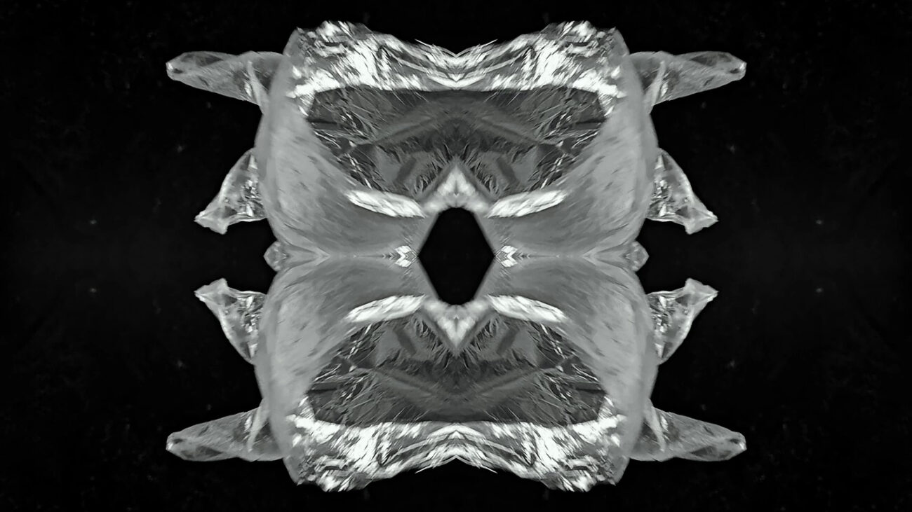 galerie moench zeitgenoessische Kunst Betina Kuntzsch video film