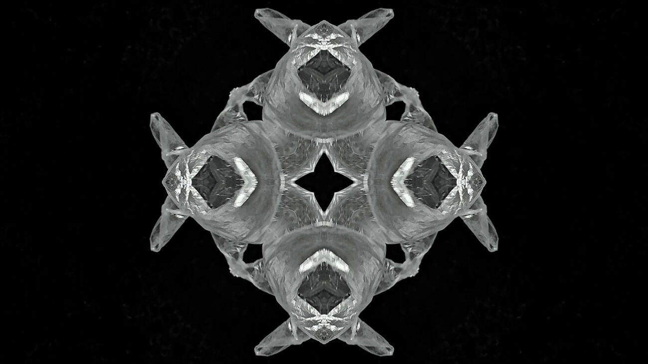 galerie moench zeitgenoessische Kunst Betina Kuntzsch video film