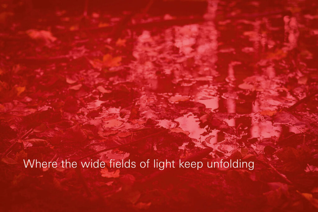 galerie moench zeitgenoessische kunst susanne wehr fotografie