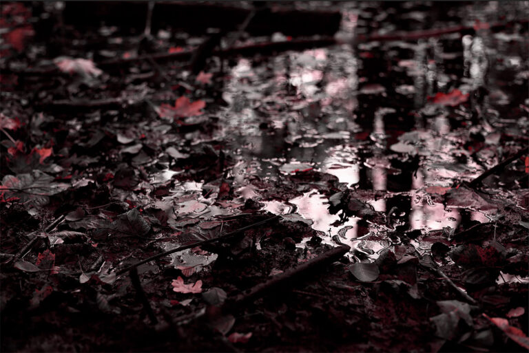 galerie moench zeitgenoessische kunst susanne wehr fotografie