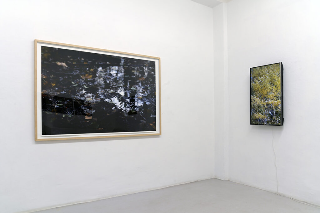 galerie moench zeitgenoessische kunst susanne wehr fotografie ki ai