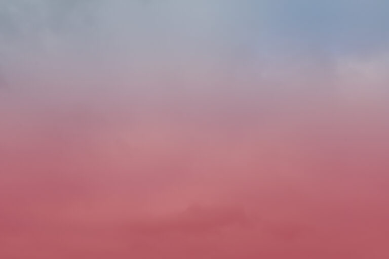 galerie moench zeitgenoessische kunst susanne wehr fotografie ki ai